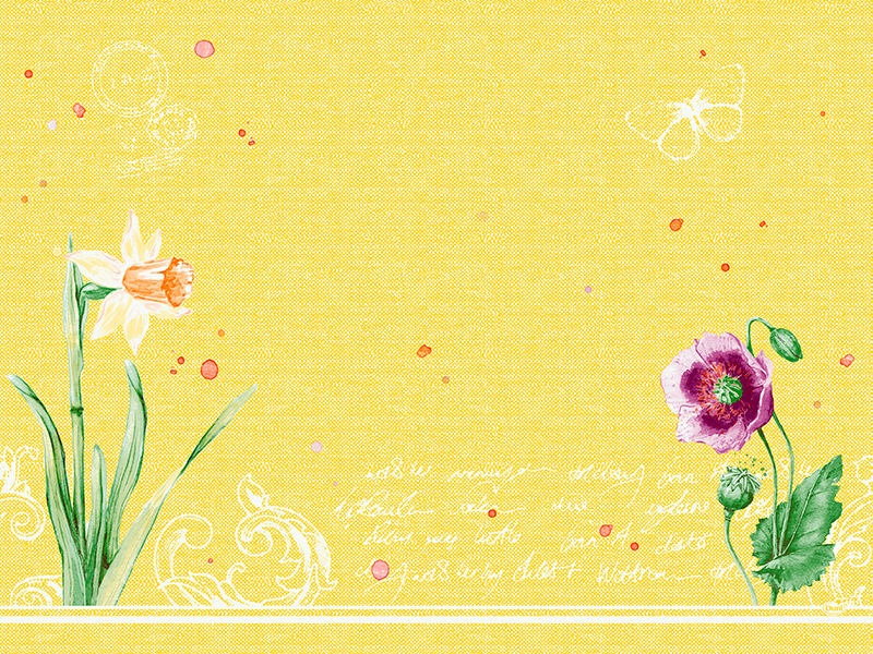 1000 Duni Papier-Tischsets Daffodil Joy